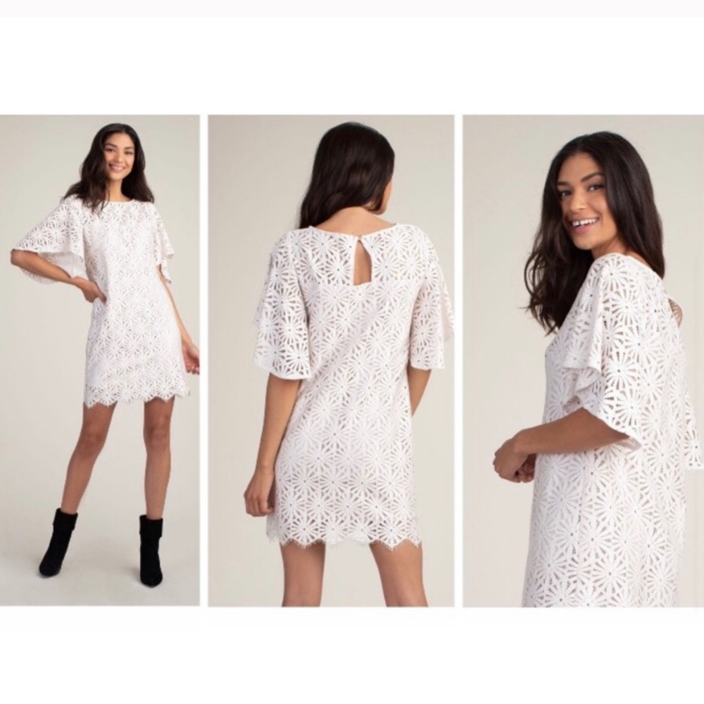 Trina Turk Auteur lace shift ivory cocktail dress